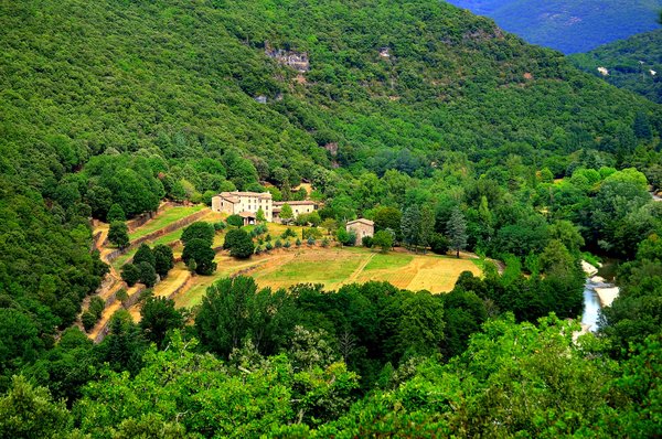 Hébergements insolites en camping : découvrez des chalets uniques