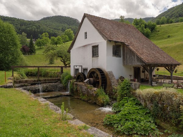 Camping borepo : un havre de paix au bord de l'étang de thau
